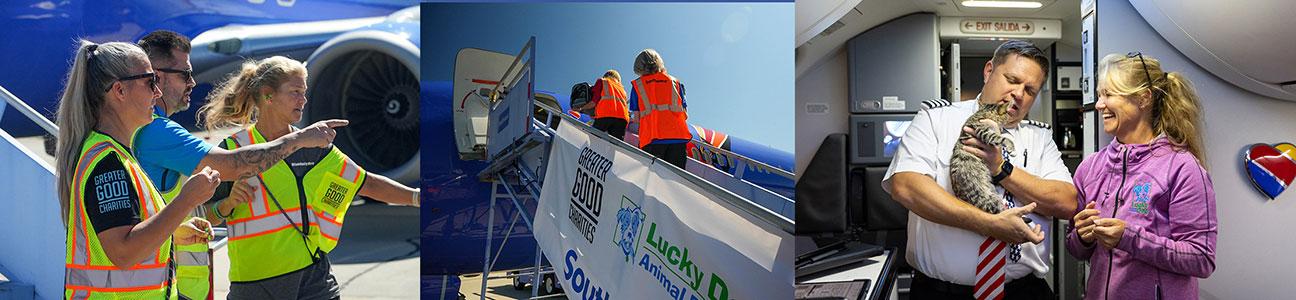 a collage of images of Mirah Horowitz on the rescue flight