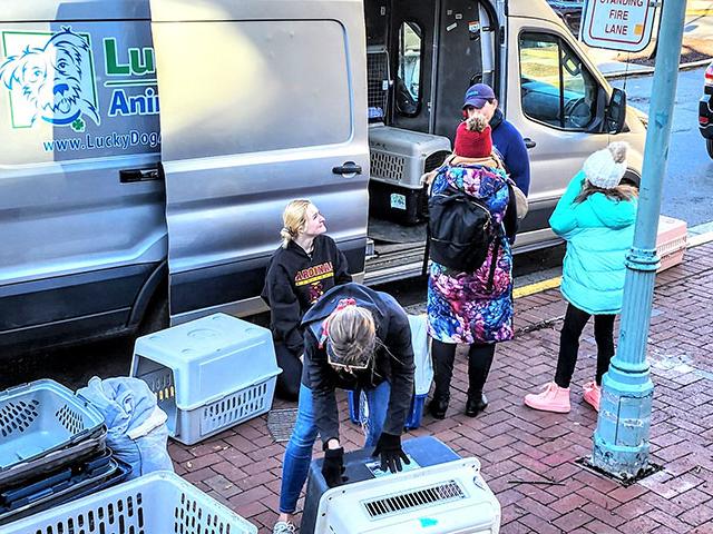 A transport van full of rescued dogs unloading in a parking lot