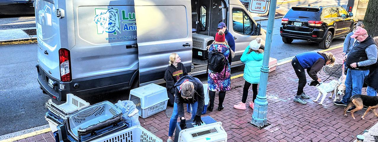 A transport van full of rescued dogs unloading in a parking lot