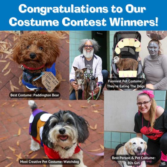 Halloween costume winners for 2024