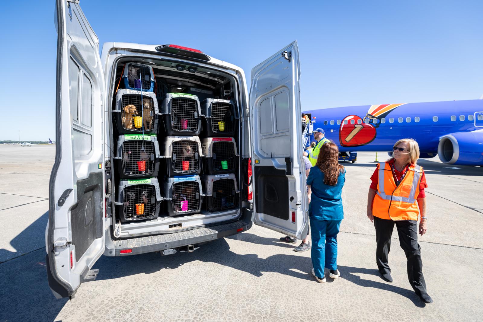 A transport van full of crates of rescued animals getting ready to be loaded onto an airplane.