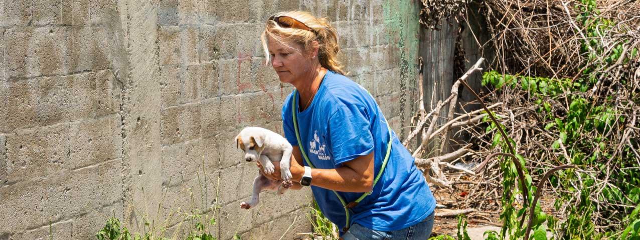 Woman holding rescue puppy