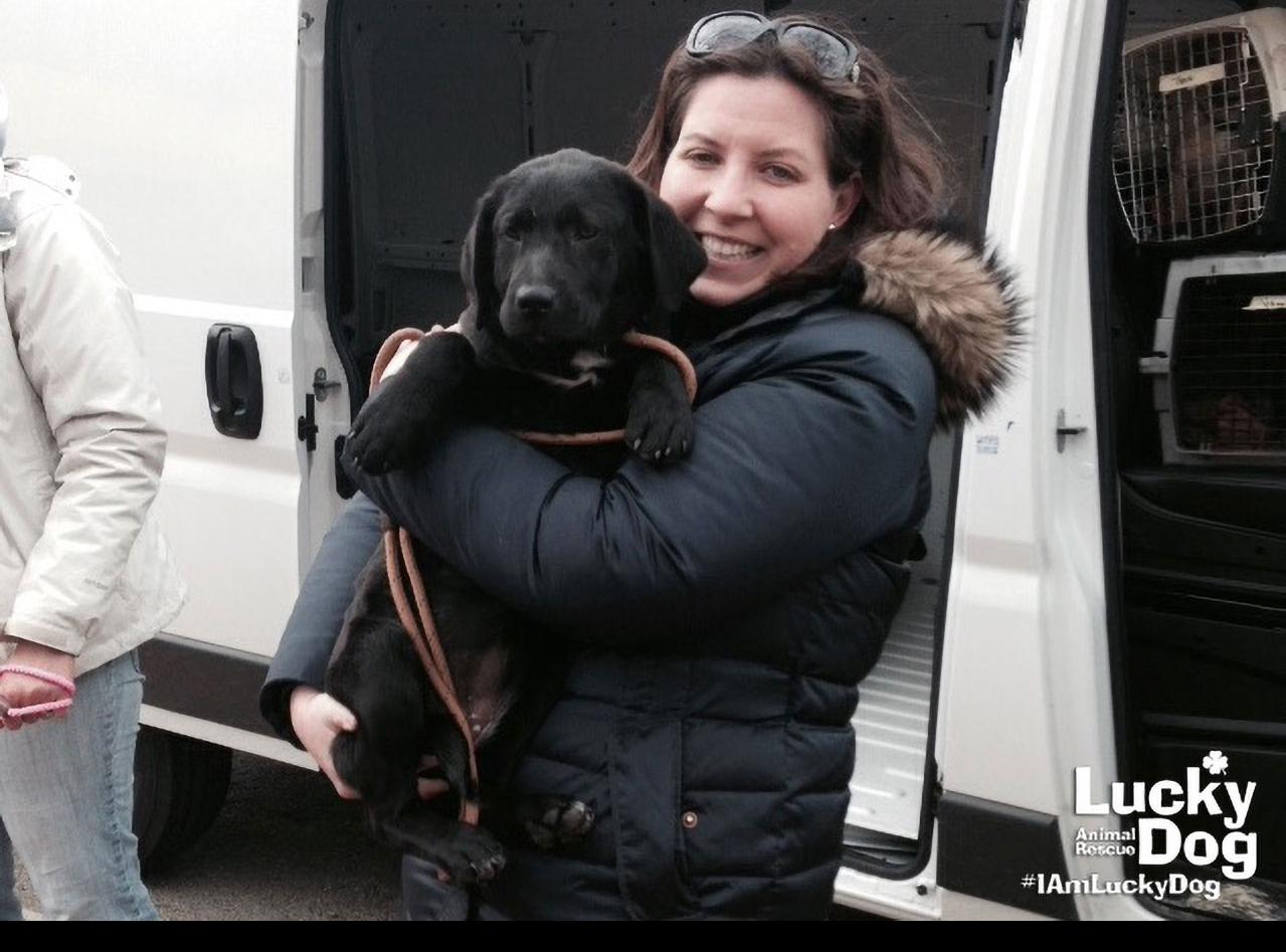 Ali Porter holding a puppy off transport