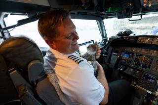 Captain Matt Prebish and his new cat Avery in the cockpit