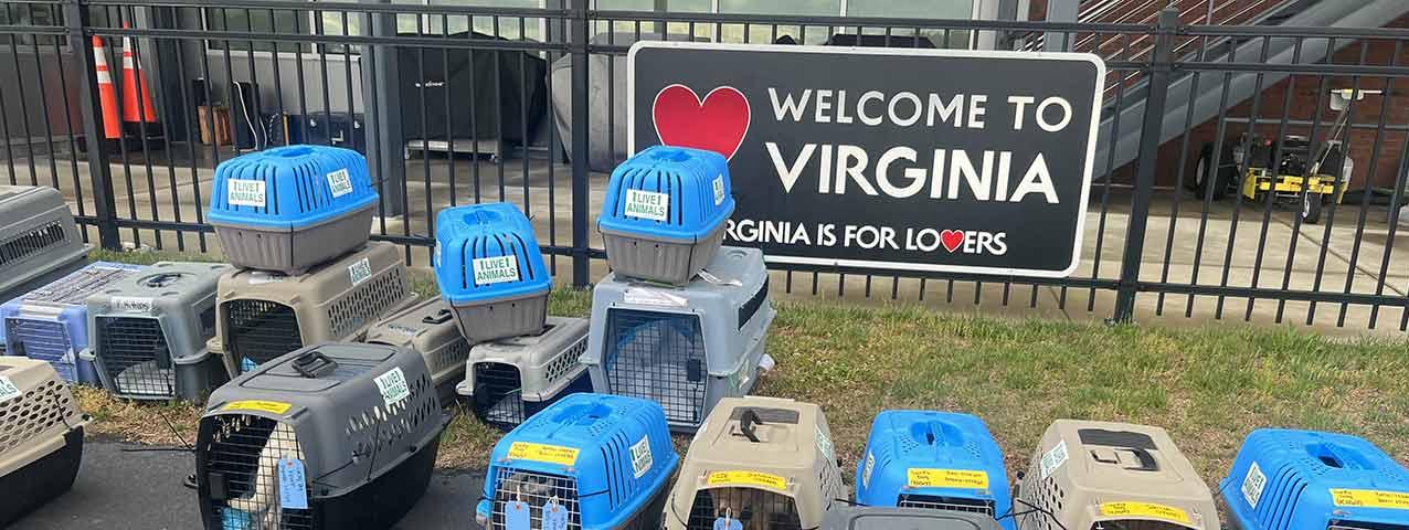 Dog Crates lined up at the airport in front of a sign saying welcome to virginia.