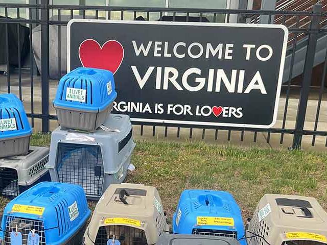 Dog Crates lined up at the airport in front of a sign saying welcome to virginia.