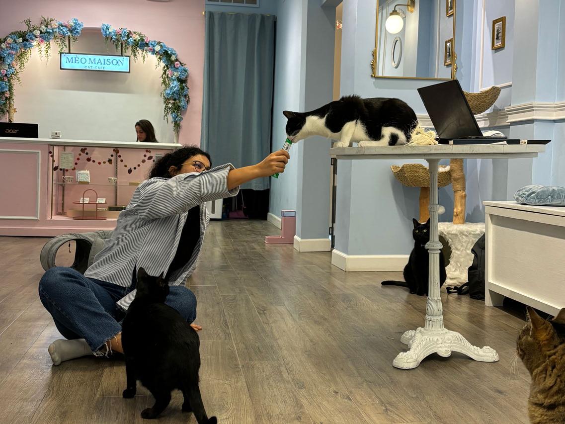 A black and white cat taking a treat from a woman