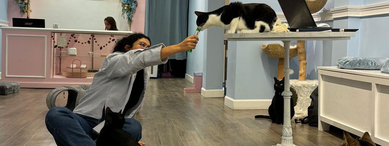 A black and white cat taking a treat from a woman