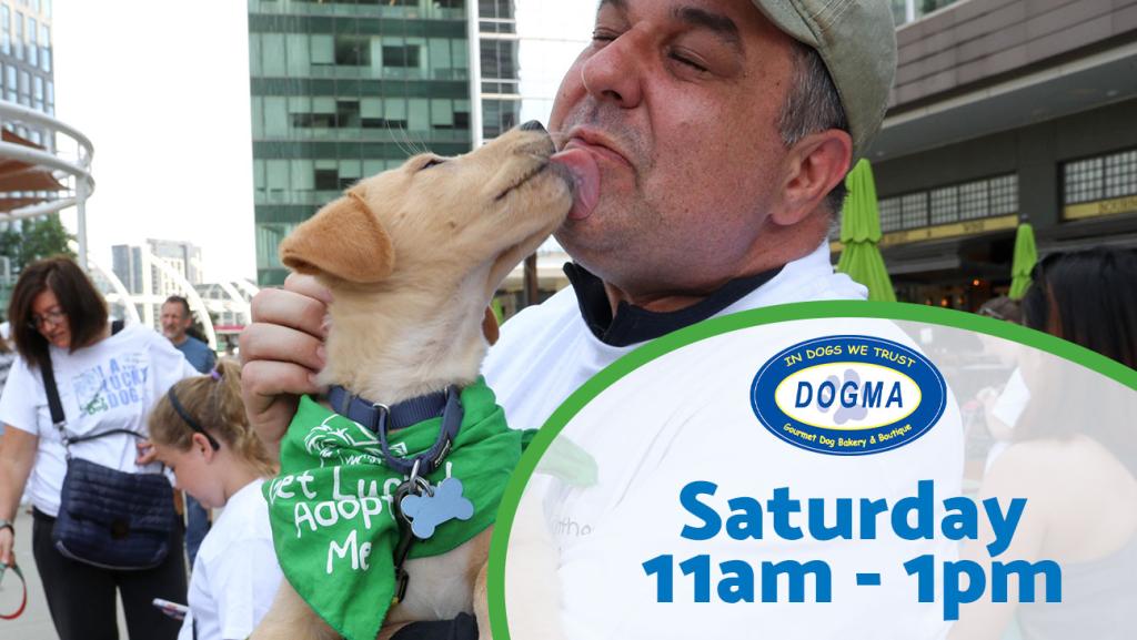 Dog Adoption Event Saturday 11am to 1pm at Dogma