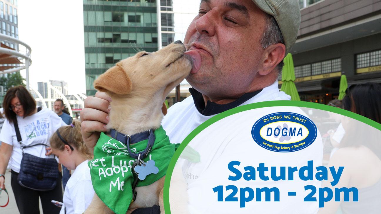 Dog Adoption event at Dogma Bakery Saturday 12pm-2pm