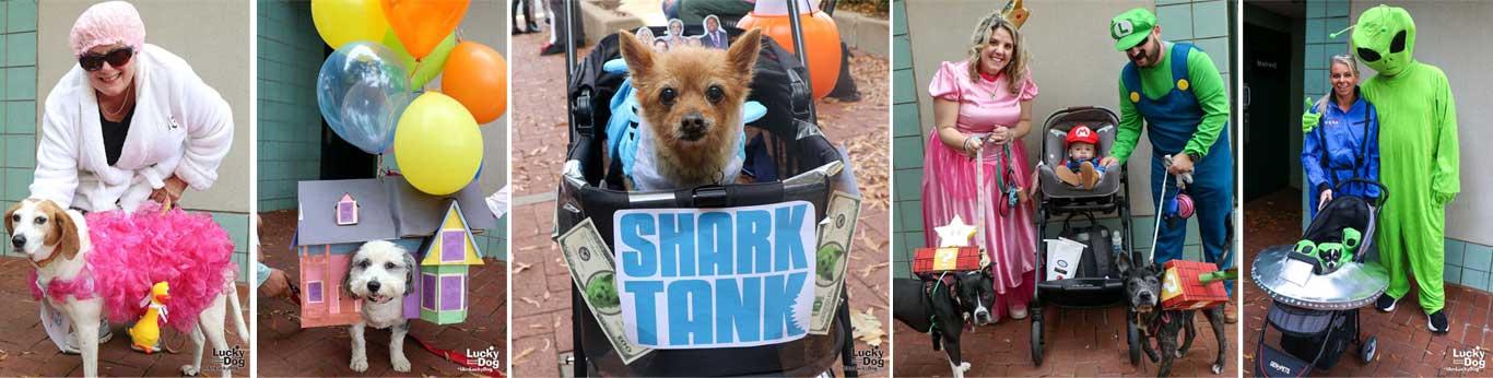 2024 halloween costumes were creative and diverse.