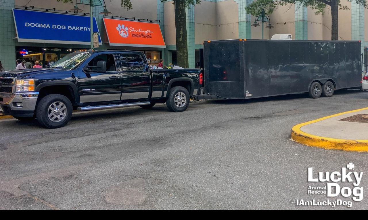 Transport truck dropping off animals and supplies