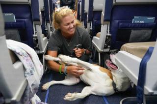 Woman petting a dog in the aisle of an airplane.