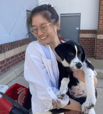 Jessie Cheng, Lucky Dog Volunteer Cat Adoption Counsellor