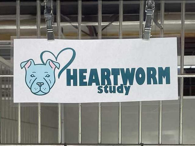 Heartworm Study sign on a kennel