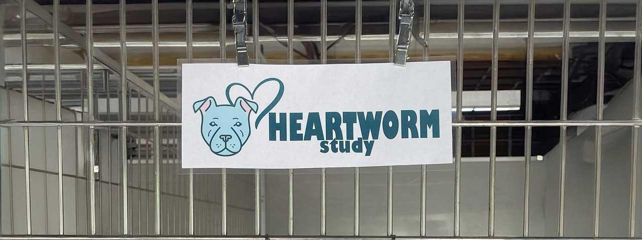 Heartworm Study sign on a kennel