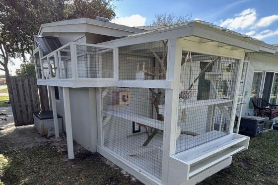 outdoor cat enclosure