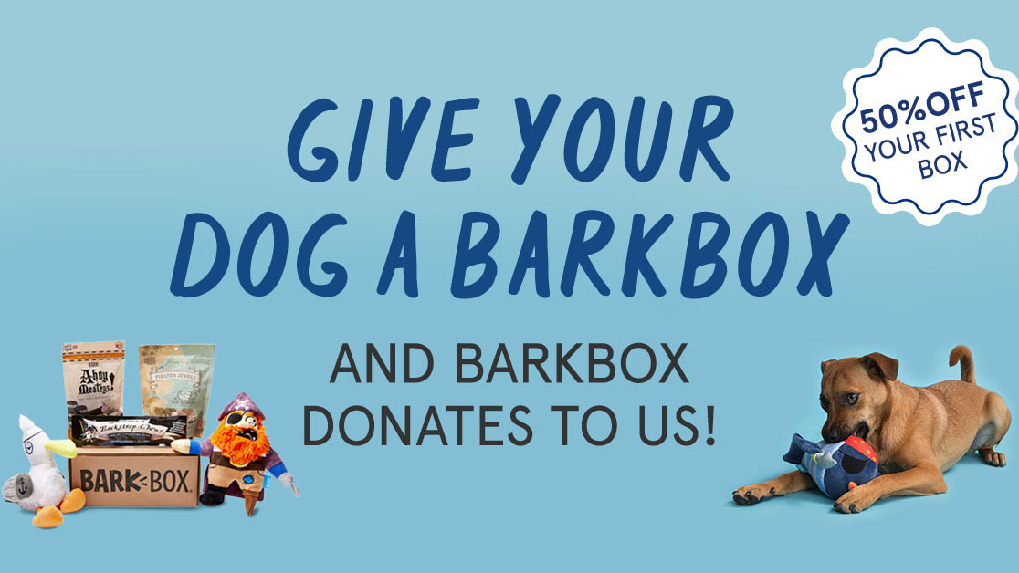 Give your dog a barkbox and donate to Lucky Dog