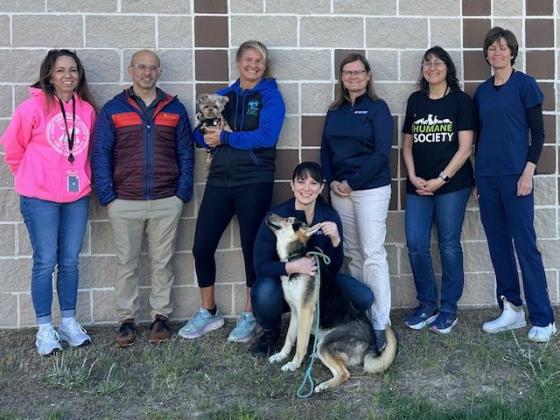 Lucky Dog Animal Rescue Heartwork Study Research Team