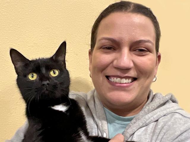 Marni Klein -- Cat & Kitten Foster