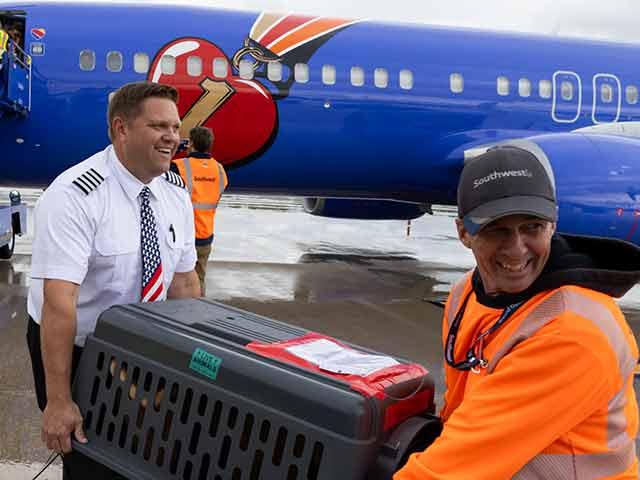 Southwest Airlines Captain Matt Prebish loading kennels onto a plane on a tarmac