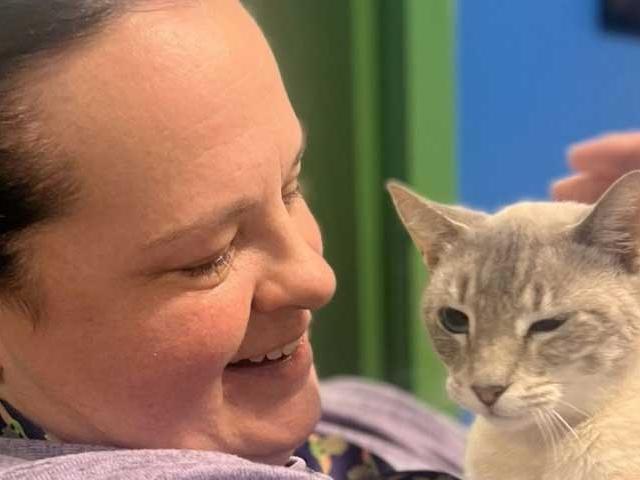 Woman petting a cat