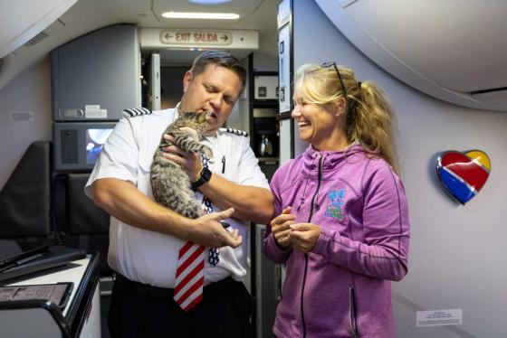 Mirah Horowitz and Matt Prebish holding Avery the kitten in a southwest airplane.