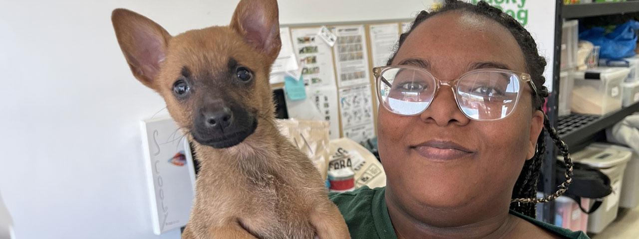 Paris Hollingsworth, Lucky Dog Executive Assistant and Volunteer