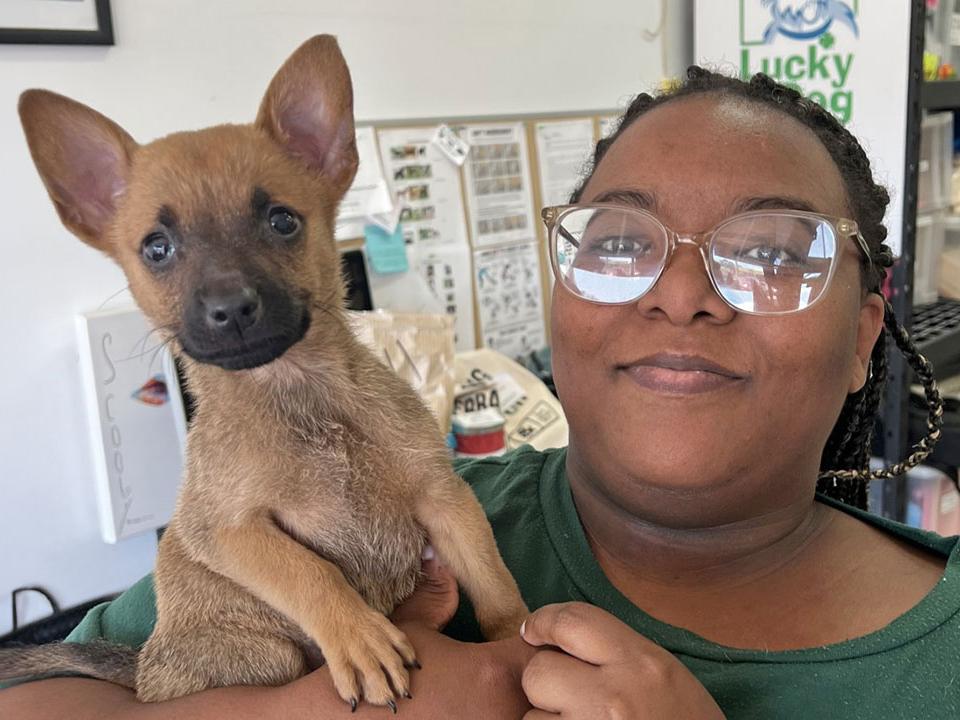 Paris Hollingsworth, Lucky Dog Executive Assistant and Volunteer