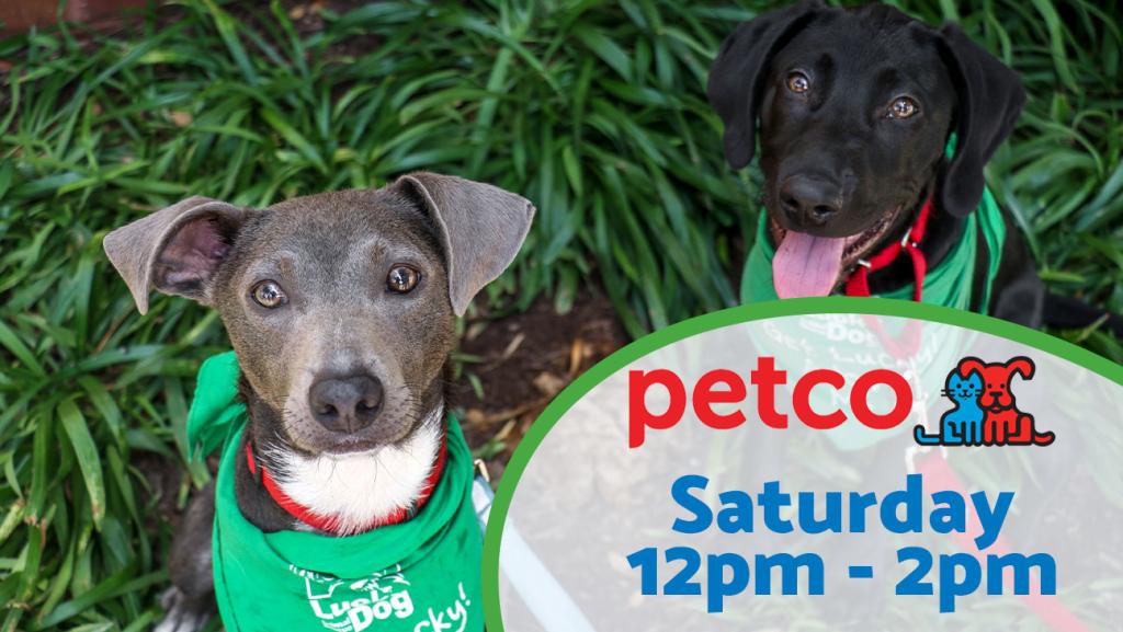 Adoption Event at Petco Saturday 12pm-2pm