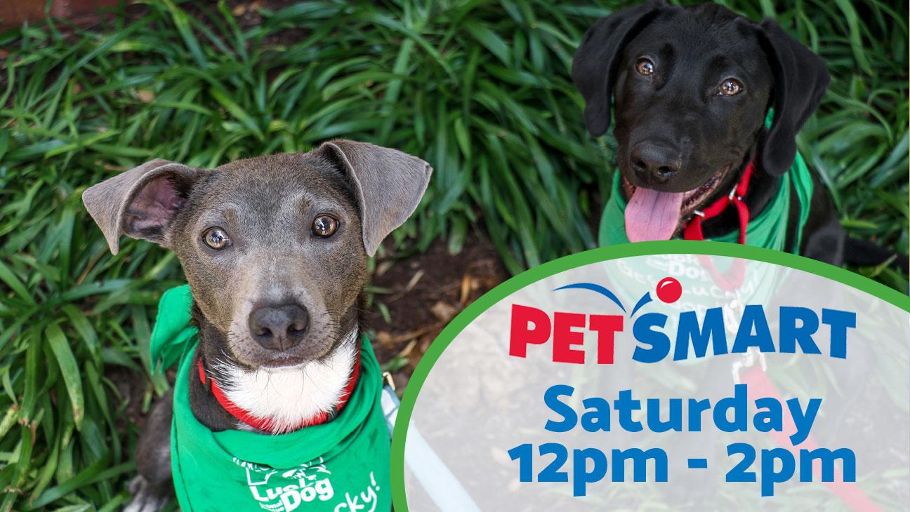 Adoption Event at Petsmart Saturday 12pm-2pm
