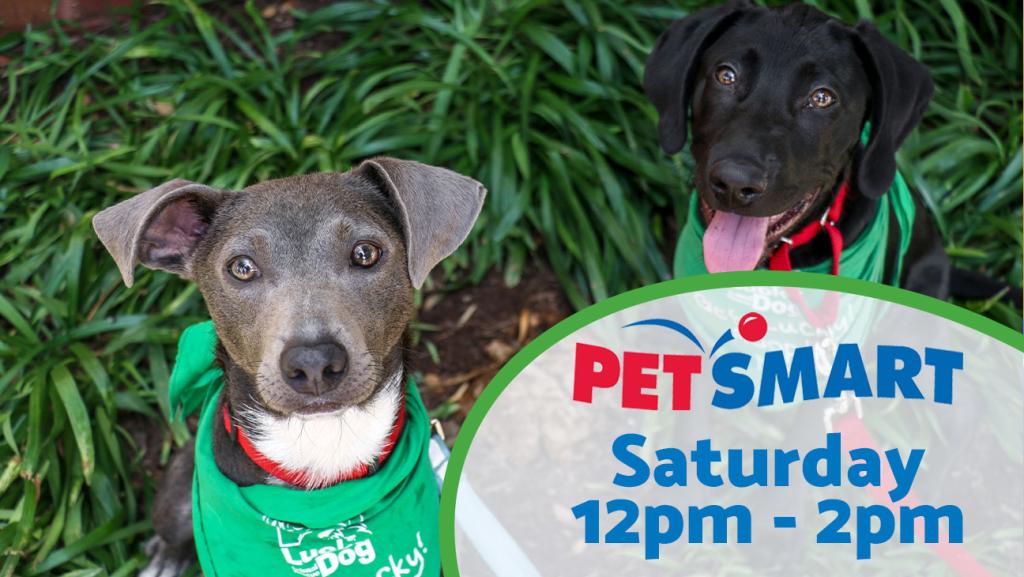 Adoption Event at Petsmart Saturday 12pm-2pm