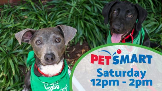 Adoption Event at Petsmart Saturday 12pm-2pm