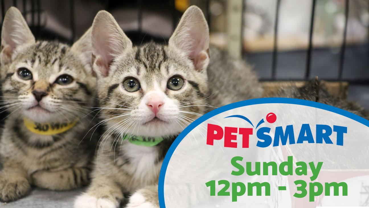 Adoption Event at Petsmart, Sunday 12pm - 3pm