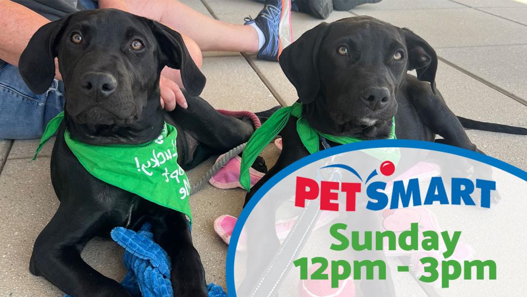 Adoption Event at Petsmart Sunday 12pm-3pm