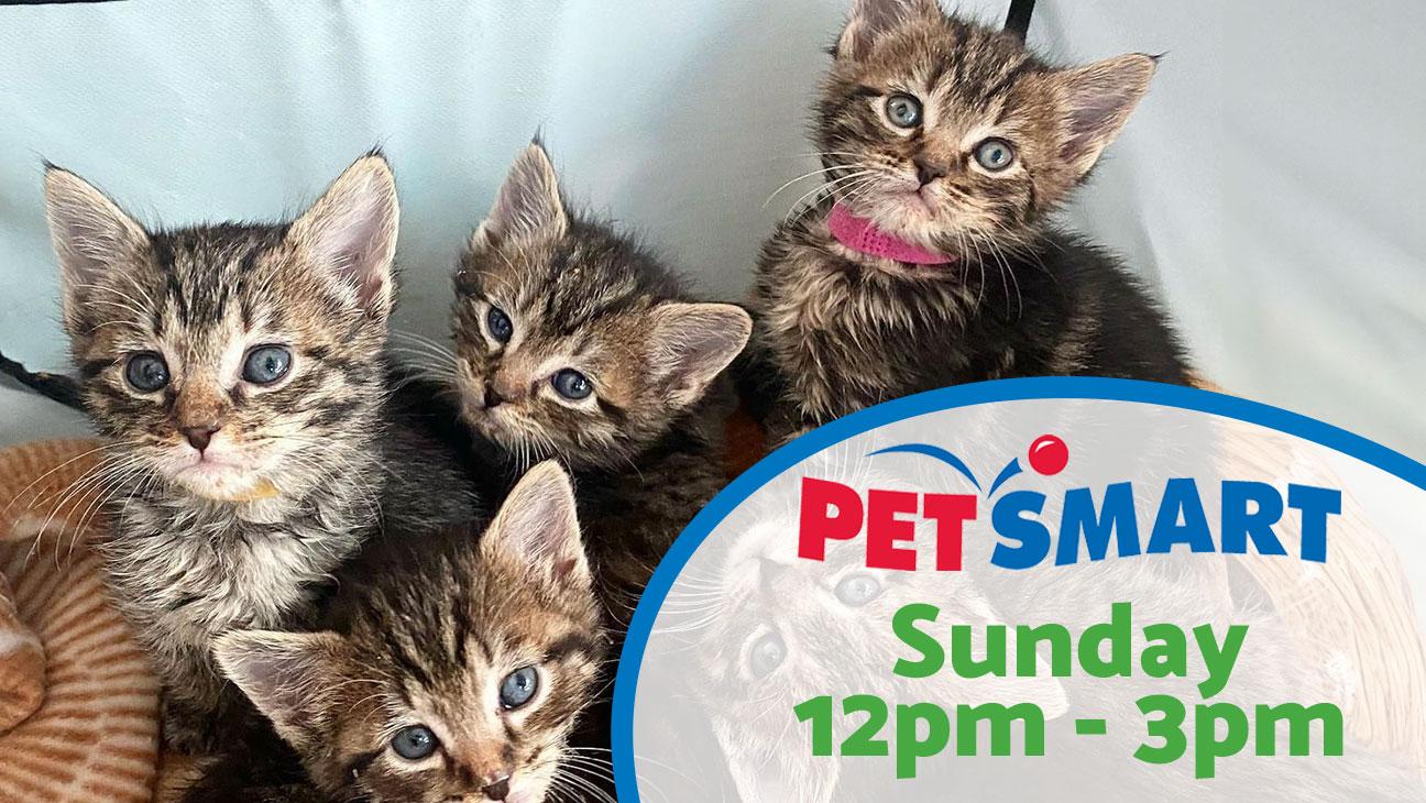 Adoption Event at Petsmart Sunday 12pm-3pm