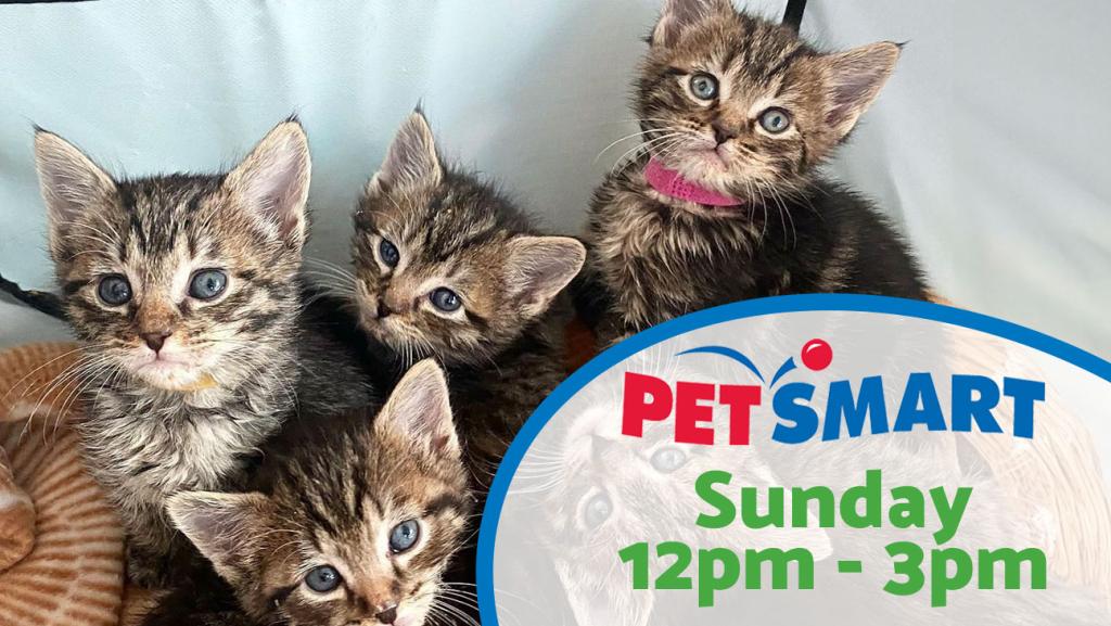 Adoption Event at Petsmart Sunday 12pm-3pm