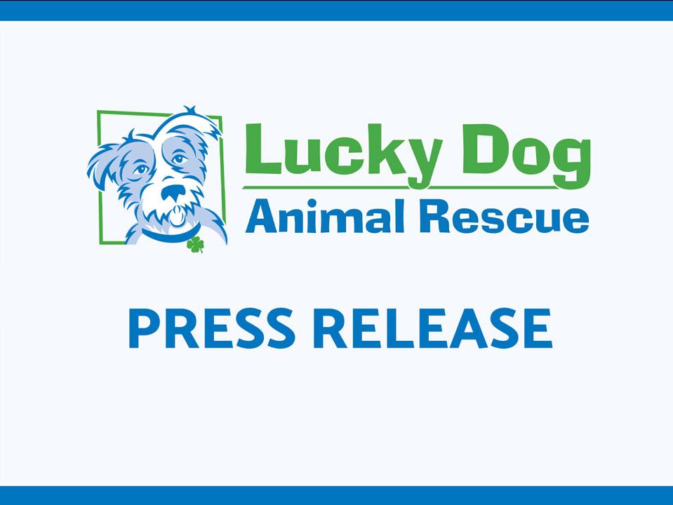 Lucky Dog Animal Rescue Press Release