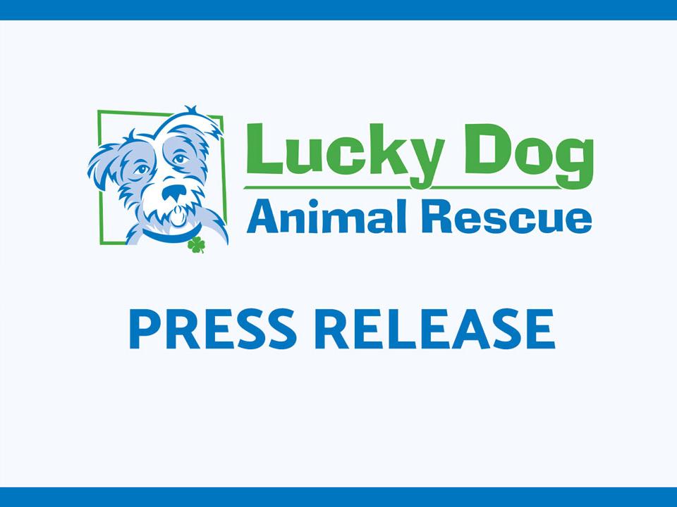 Lucky Dog Animal Rescue Press Release