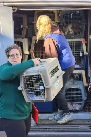 two women unloading crates of dogs from a transport van