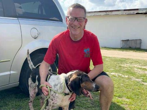 Volunteers with dogs