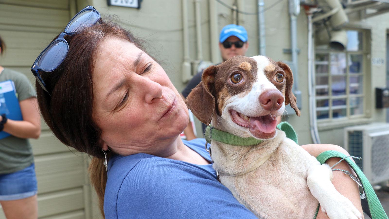 Volunteer holding an adoptable dog