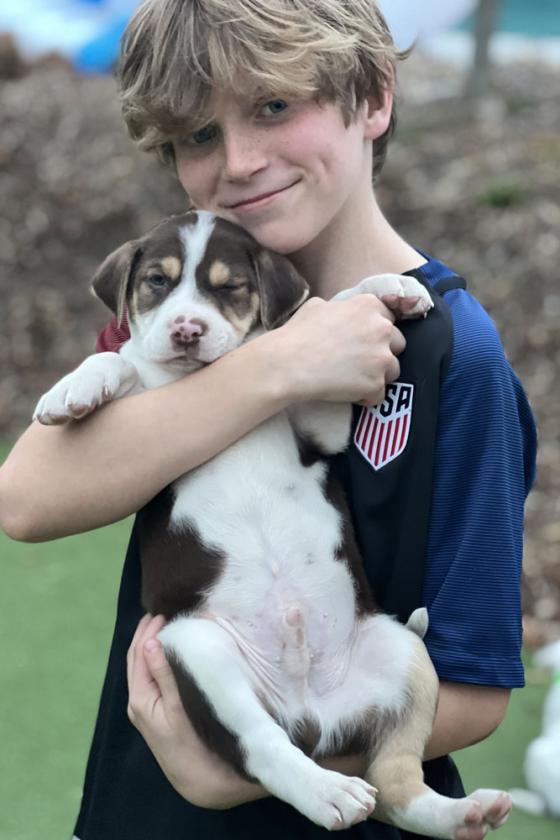 Young boy holding a sleeping foster puppy.