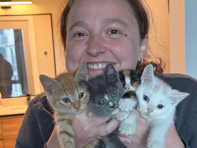 Anna Waldman -- Dog and Kitten Foster, Dog Adoption Coordinator, Customer Service Volunteer, and Foster Advisor 