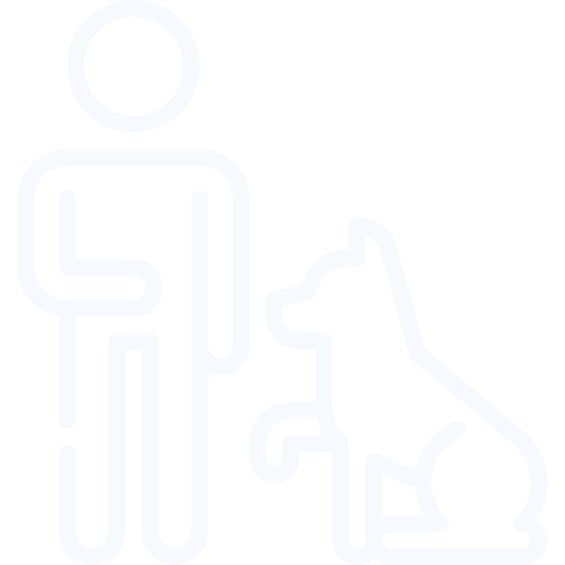 Person training a dog