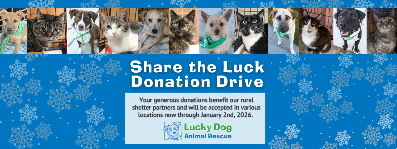 Share the Luck Holiday Donation Drive