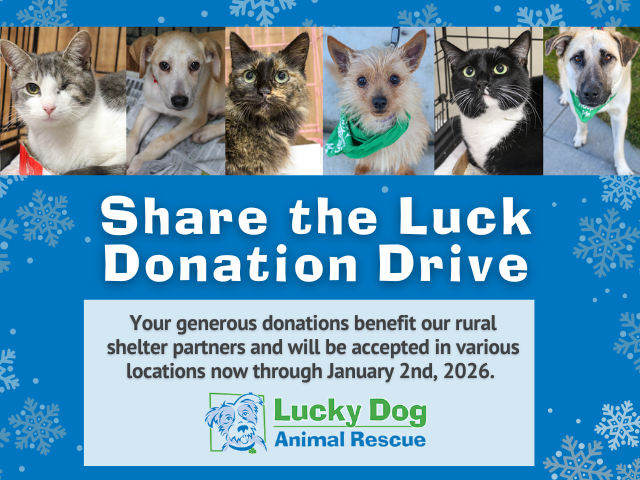 Share the Luck Holiday Donation Drive