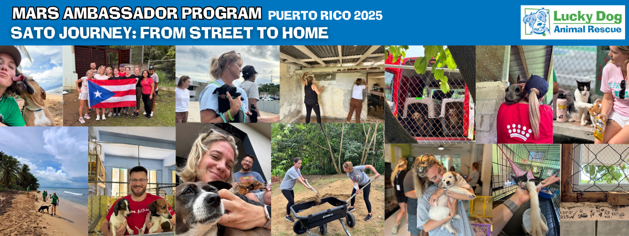 Mars Ambassador Program - Puerto Rico 2025