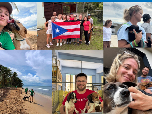 Mars Ambassador Program - Puerto Rico 2025