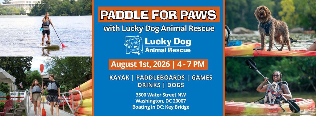 Paddle for paws 26